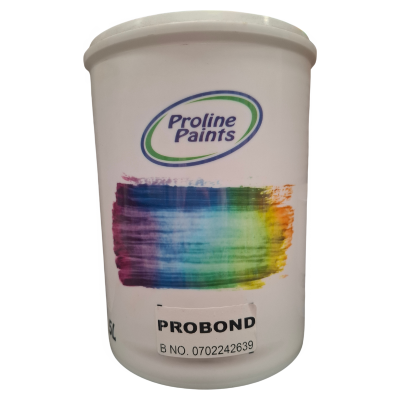 pro bond sealer proline paints, bonding primer